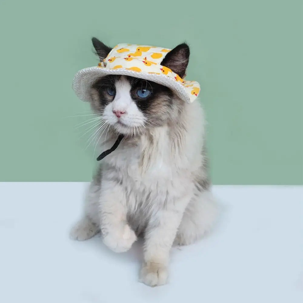 Chapeau Soleil Pour Animaux