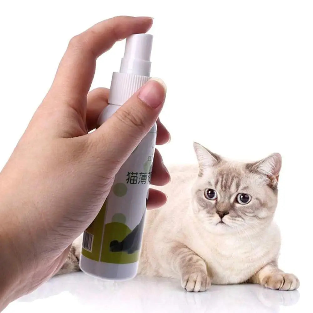 Spray Cataire Plaisir Félin