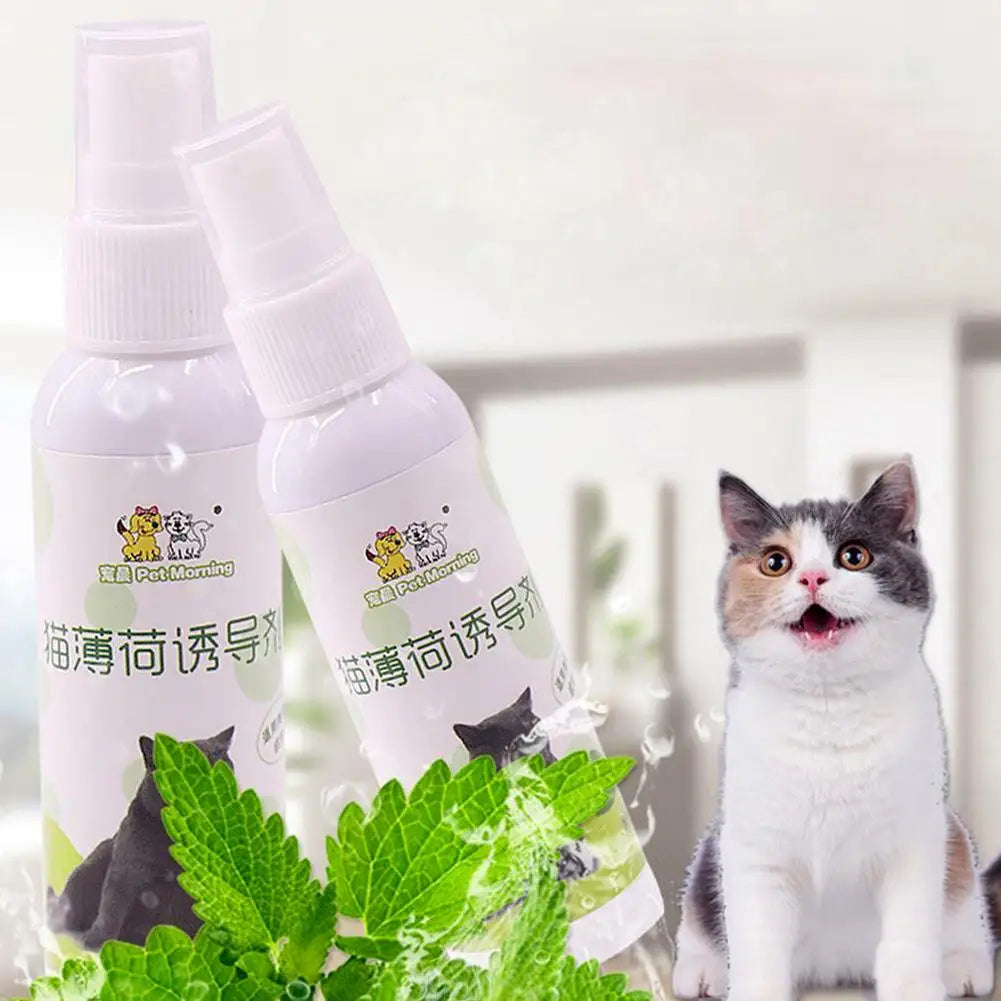 Spray Cataire Plaisir Félin
