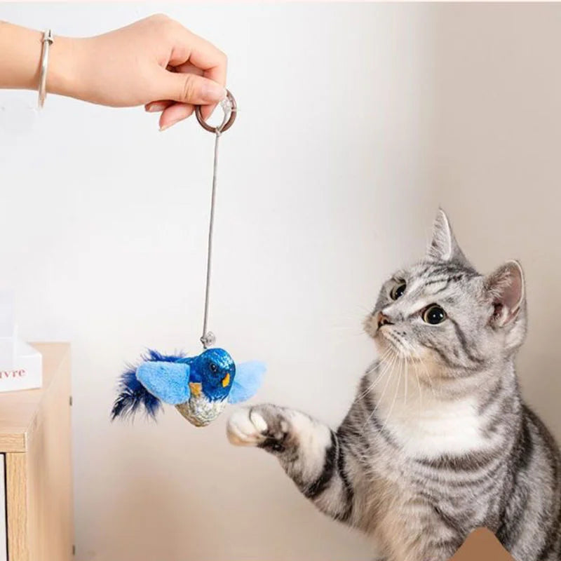 Oiseau Interactif Pour Chat