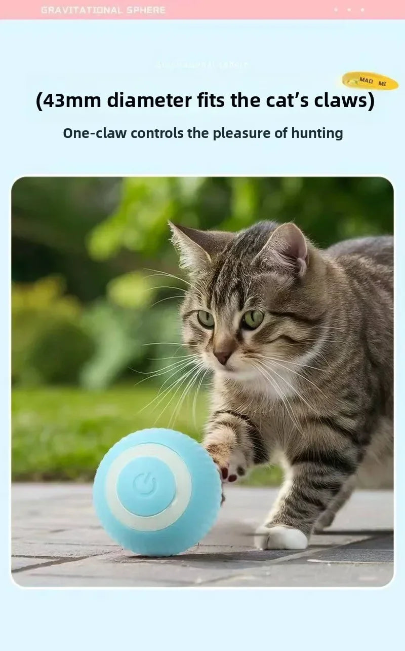 Balle Intelligente Pour Chat