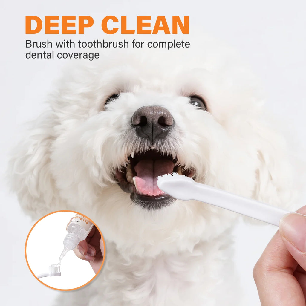 Kit Dentaire pour Animaux