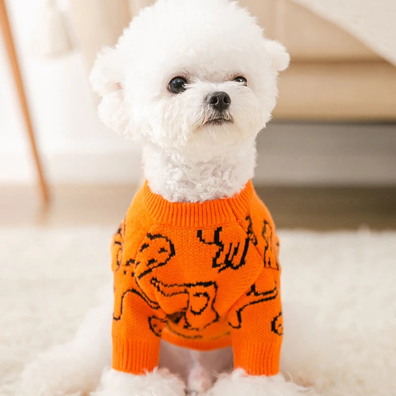 Pull Ours Douillet Pour Chien