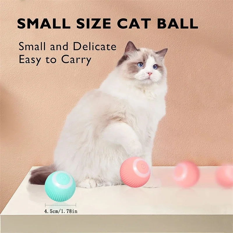 Balle Intelligente Pour Chat