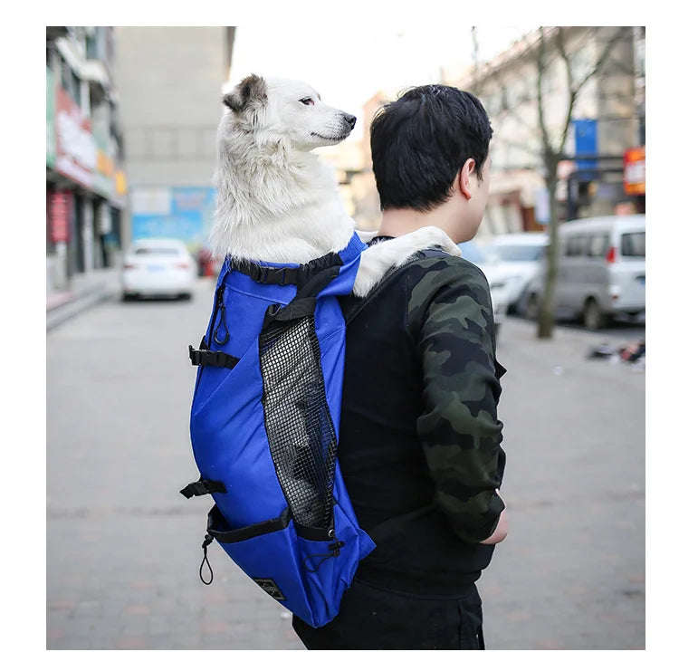 Sac À Dos Pour Chien