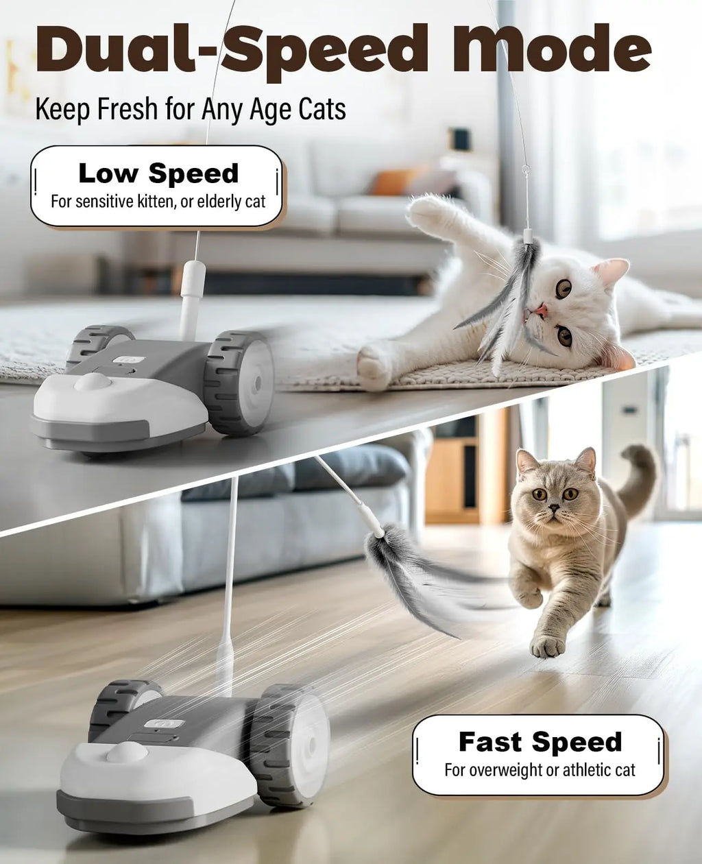 Souris Mobile Interactive