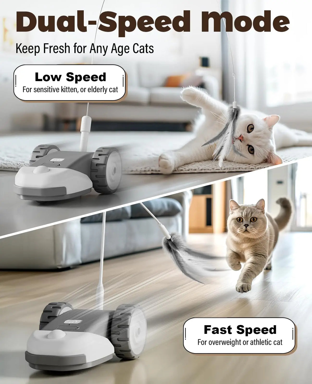 Souris Mobile Interactive