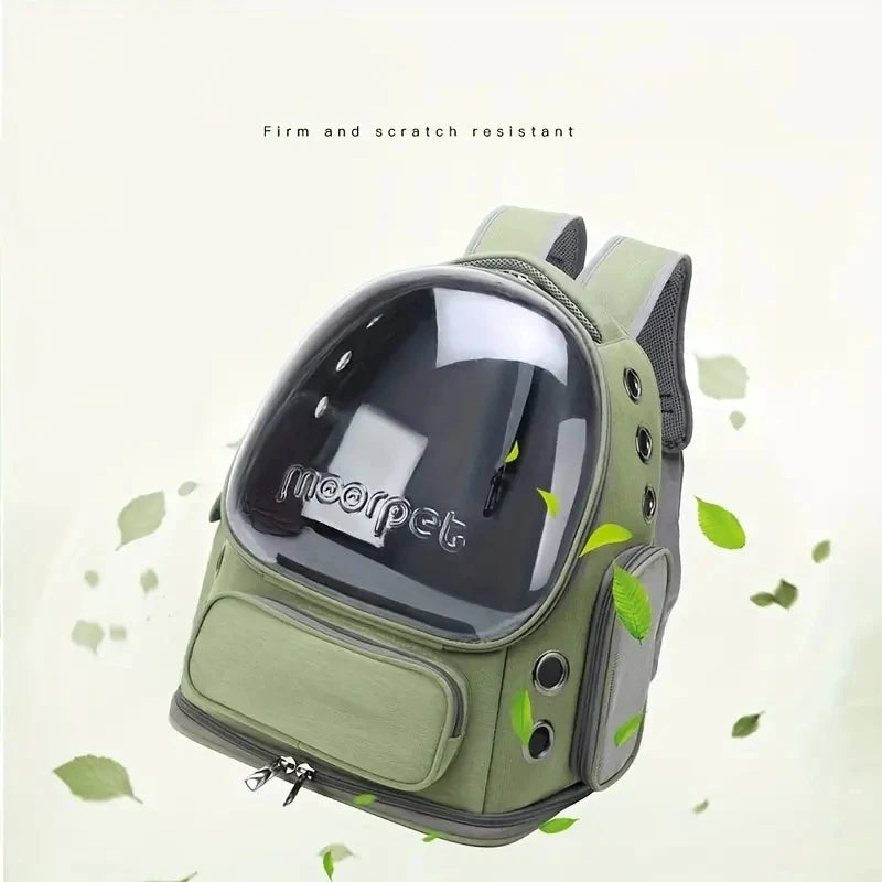 Sac Bubble Transport Chat