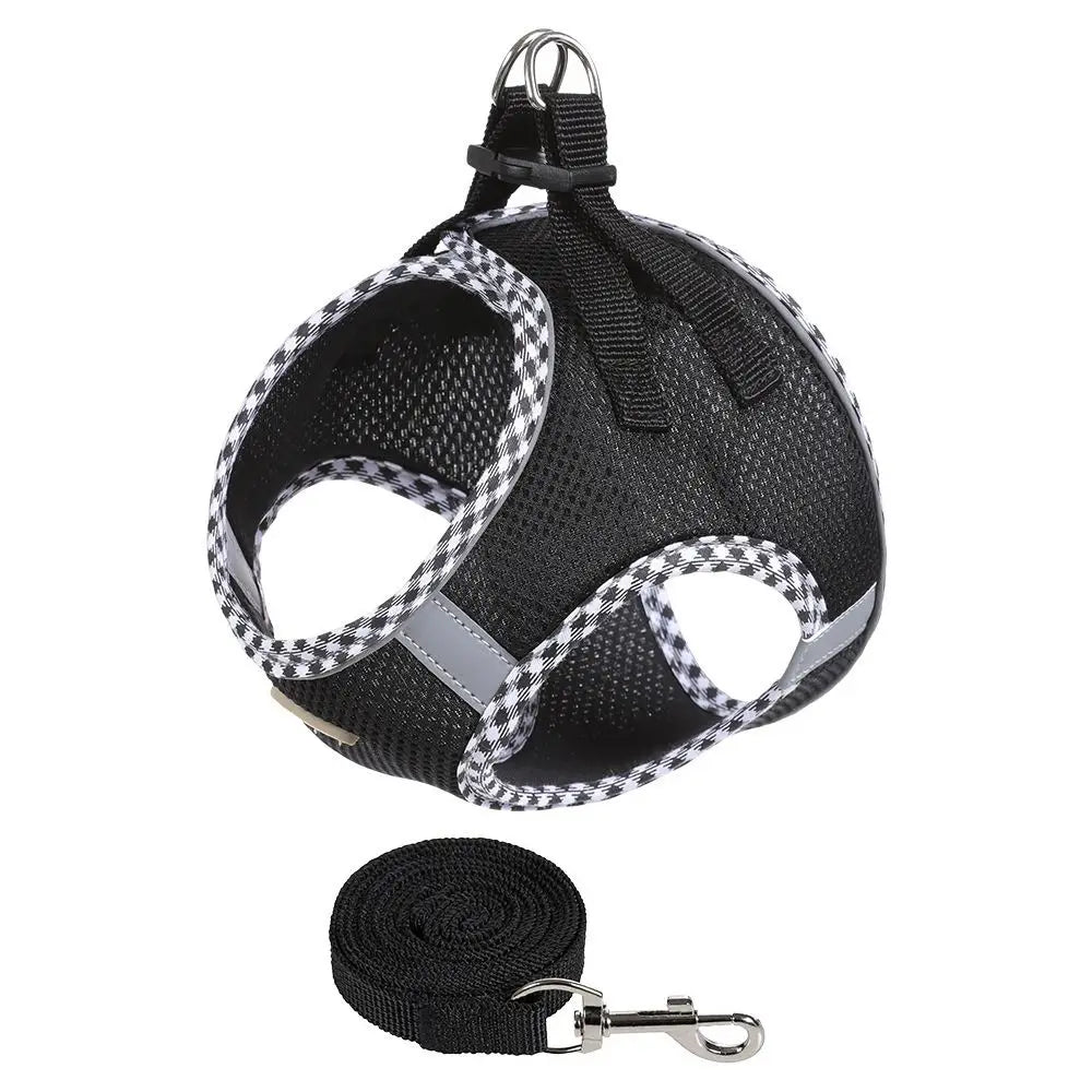 Balle Interactive pour Chien