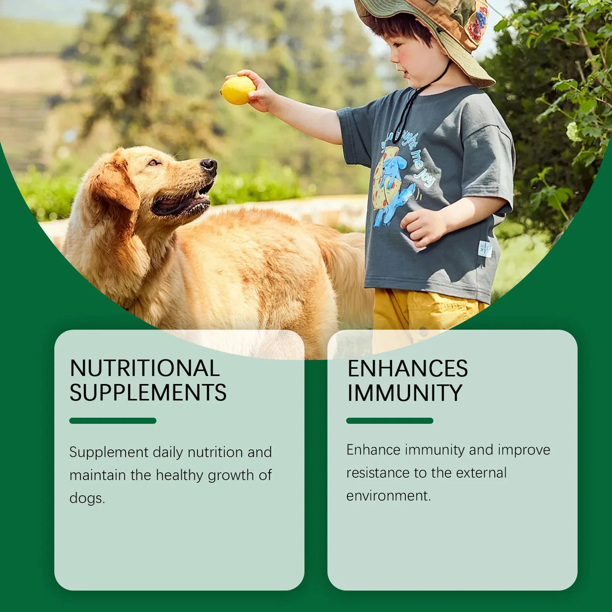 Vitamines Bien-Être Pour Chien