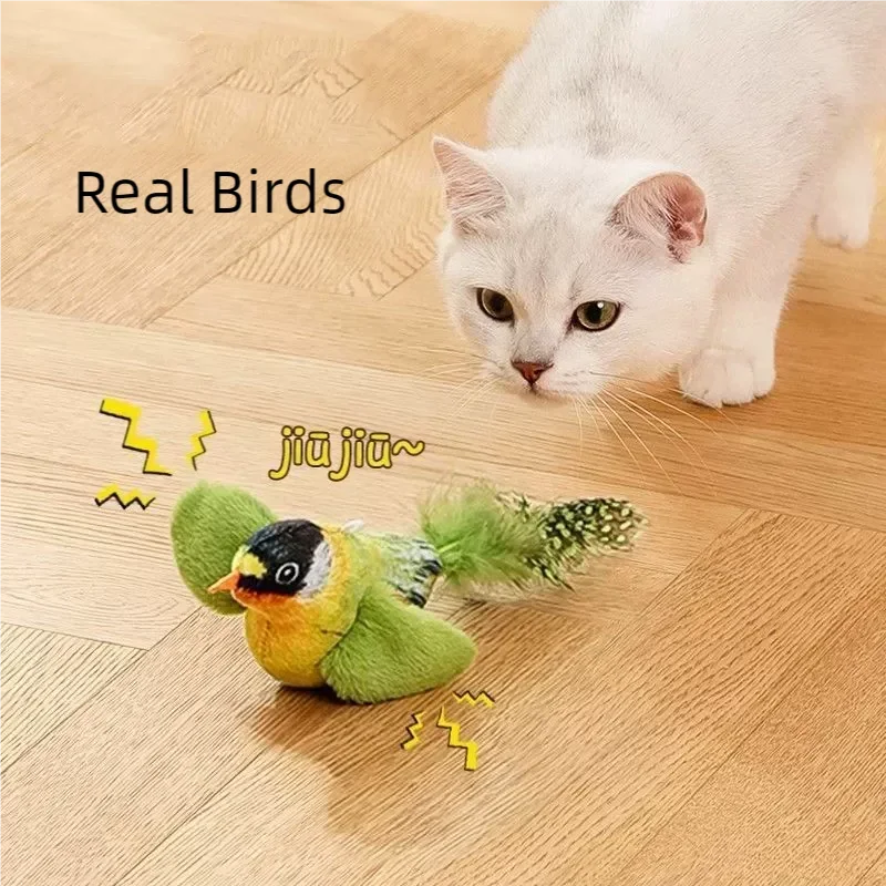 Oiseau Interactif Pour Chat