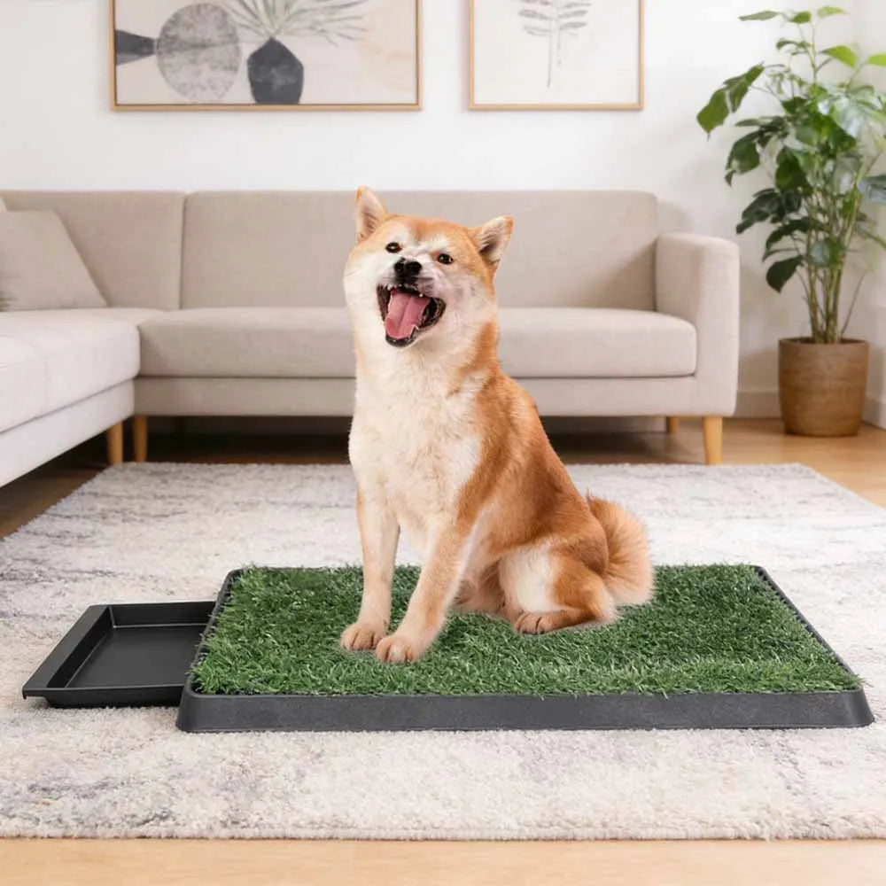 Pet Dog Toilet Artificial Grass Dog Potty Splashproof Washable Reusable Pee Pads Dog Training Toilet Puppy Pad Tray Pet Supplies 63X51 cm