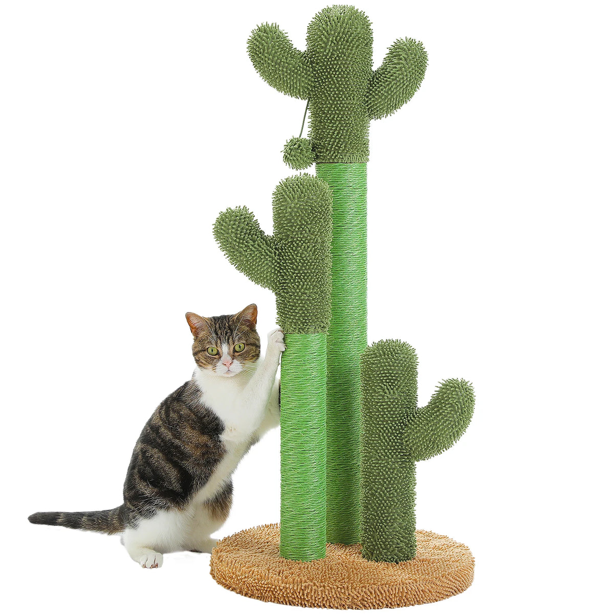 Griffoir Cactus Pour Chat