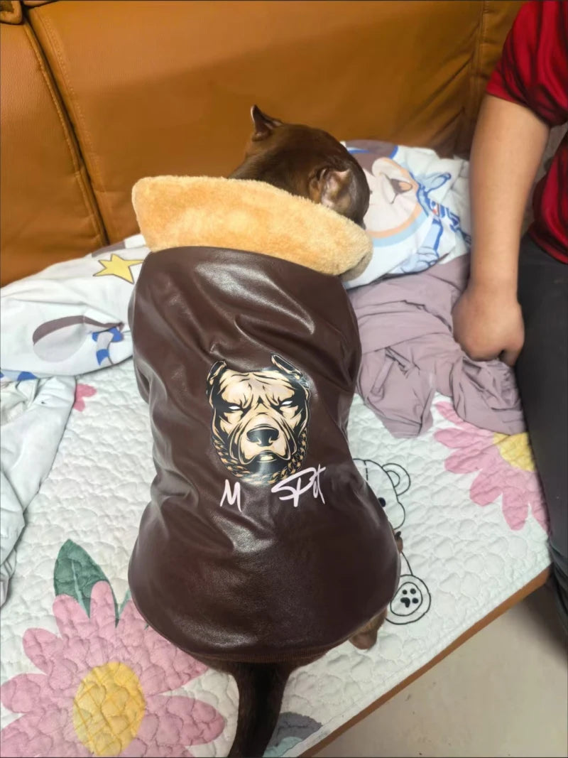 Manteau Hiver Pour Chien