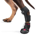Chaussures Protection Pattes Chien