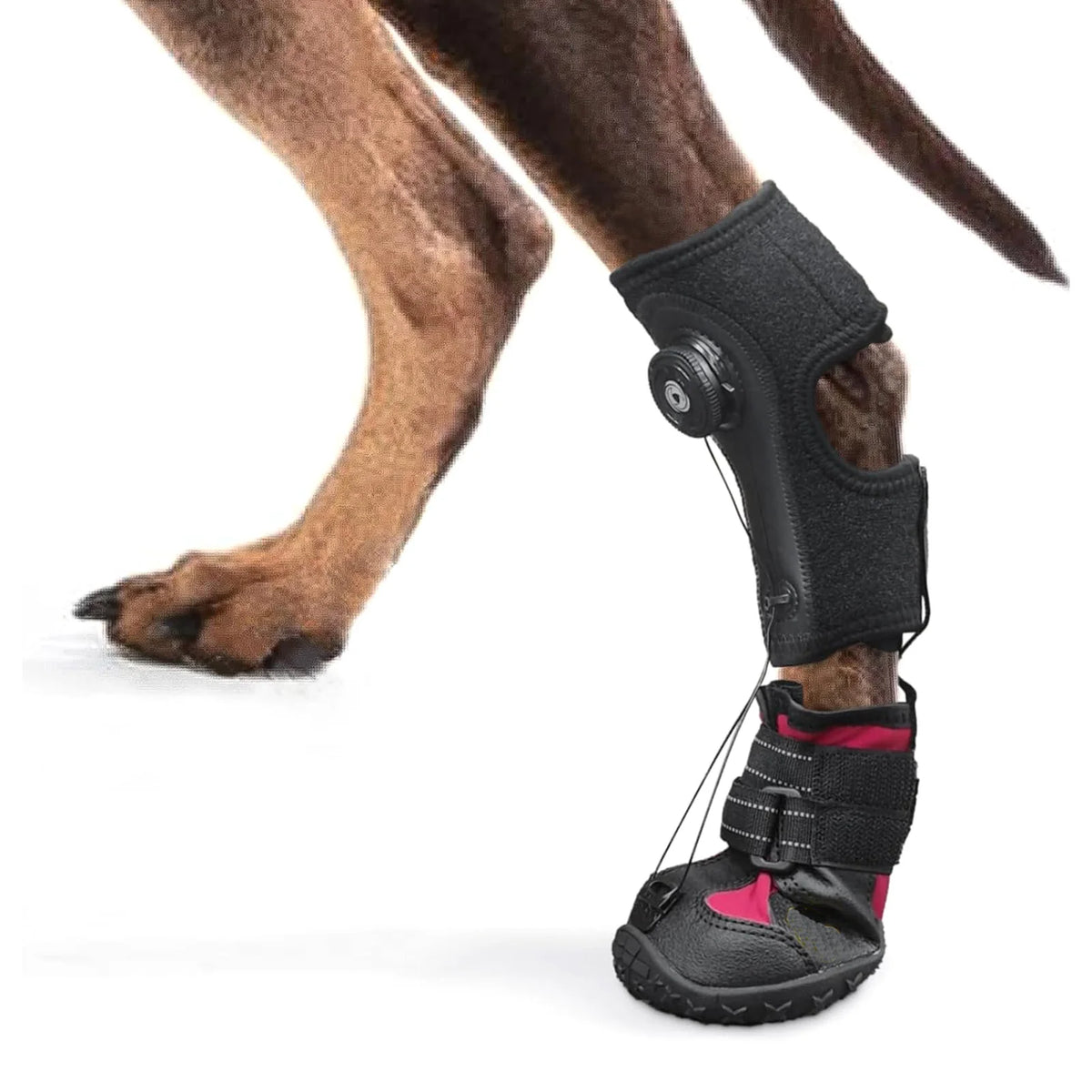 Chaussures Protection Pattes Chien