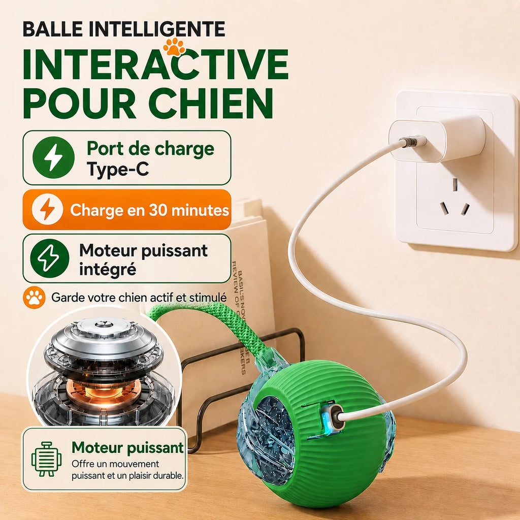 Balle Interactive Intelligente