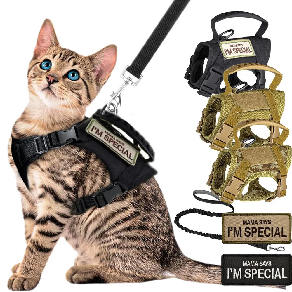 Harnais Tactique Pour Animaux