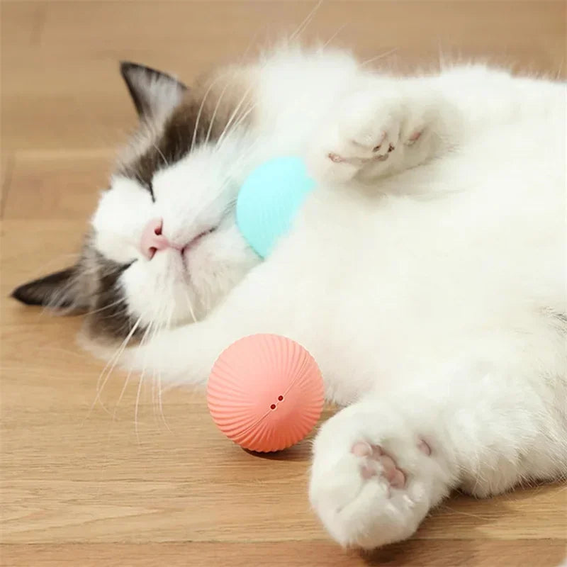 Balle Intelligente Pour Chat