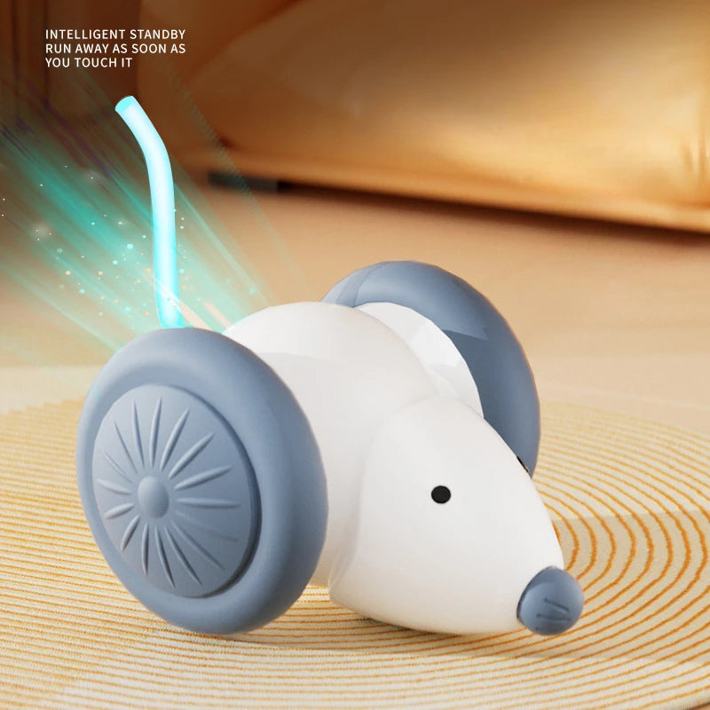 Voiture Souris Interactive