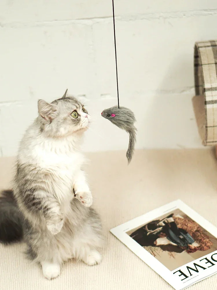 Souris Interactive Pour Chat