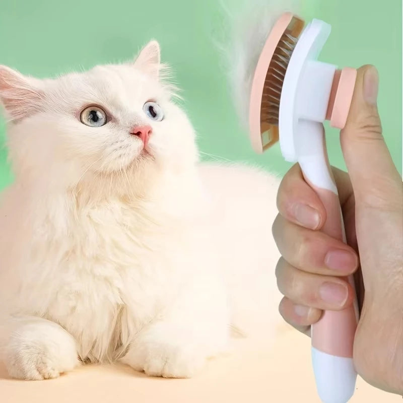 Brosse Anti-Poils Pour Animaux