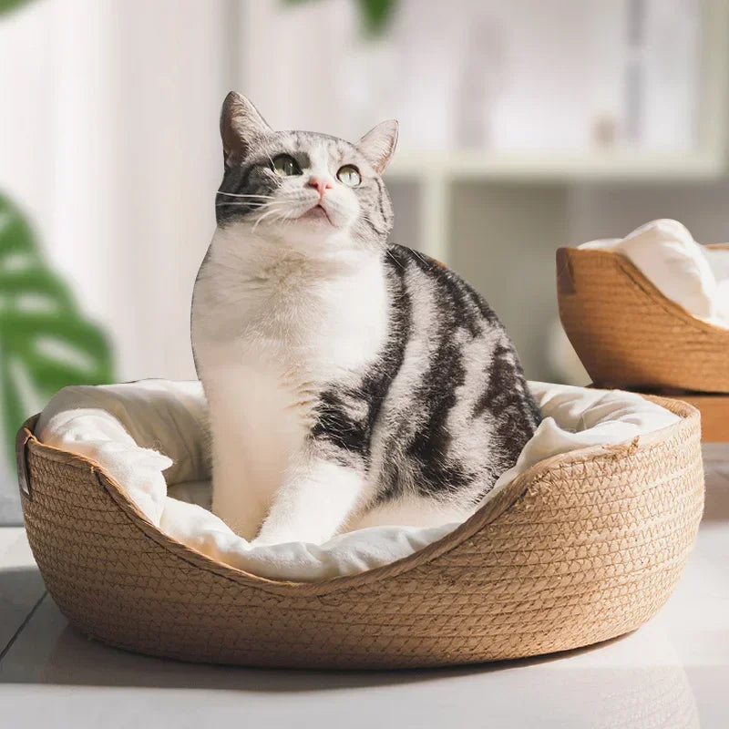 Nid Douillet Pour Animaux