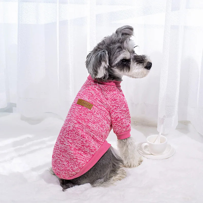 Pull Chaud Pour Chien