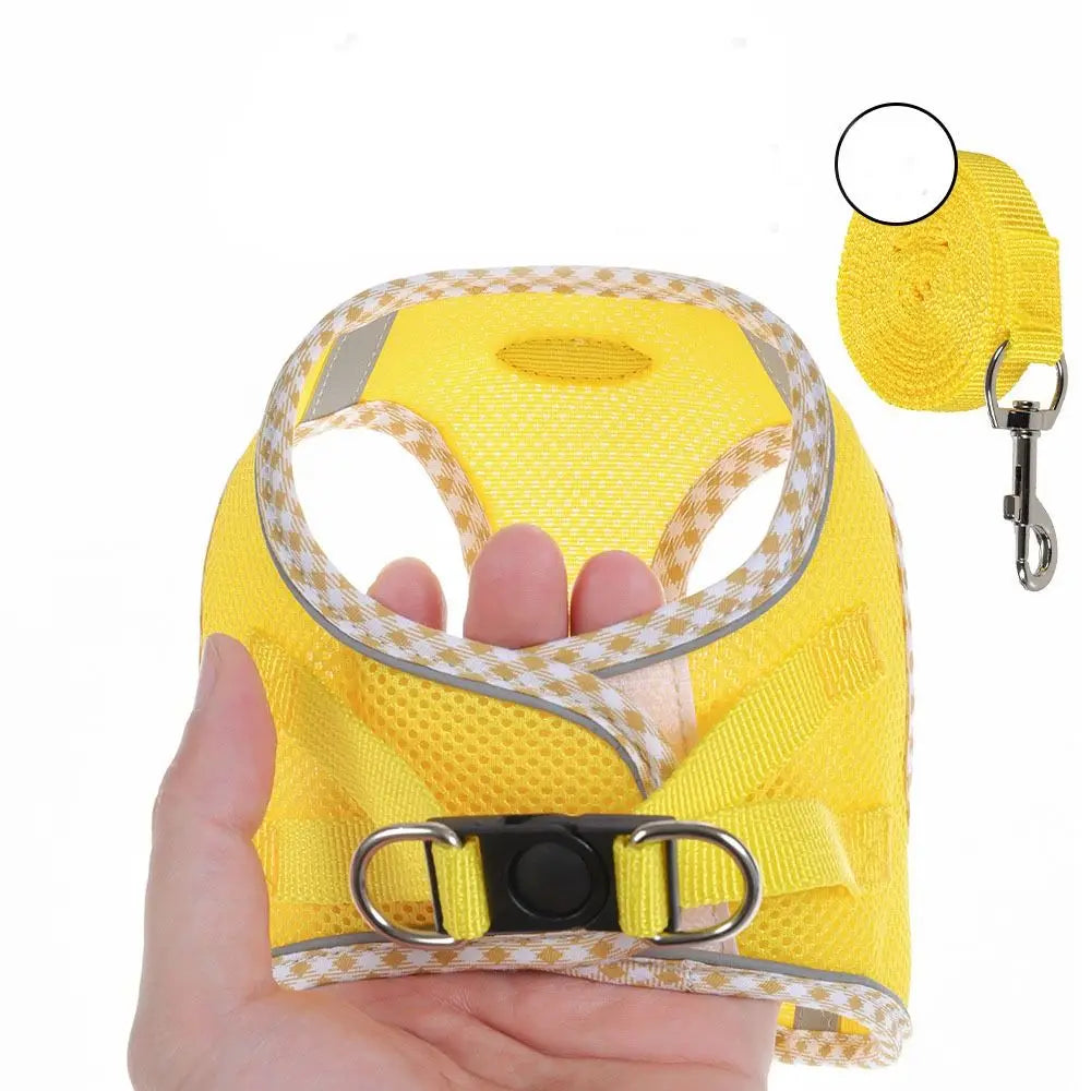 Balle Interactive pour Chien