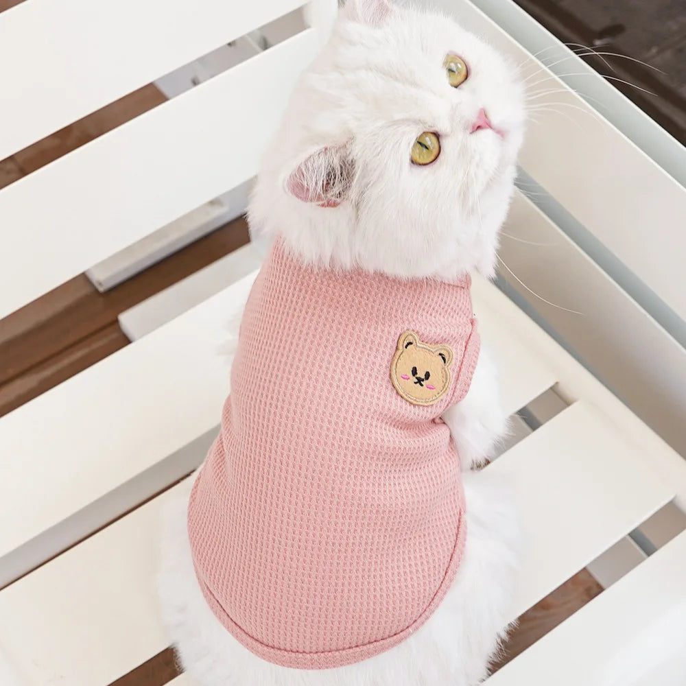 Gilet Ours Douillet Pour Chat
