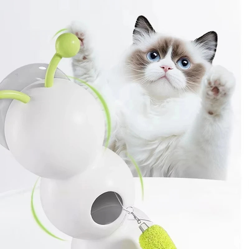 Chenille Interactive Pour Chat