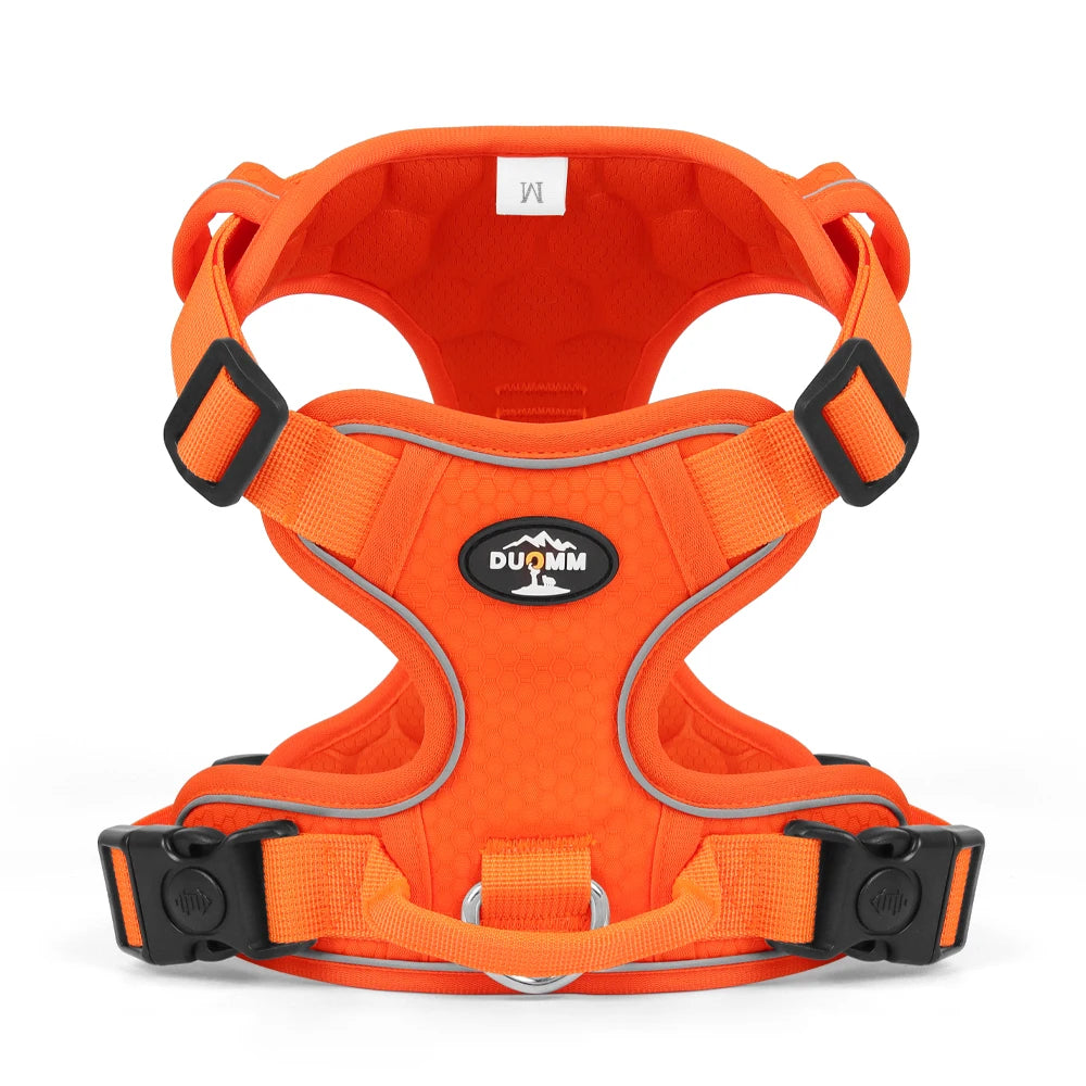 Harnais Chien Anti-Traction