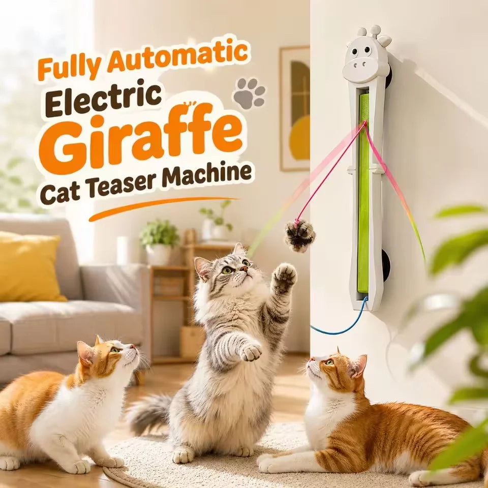 Petit Compagnon Interactif