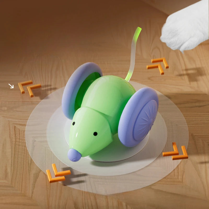 Voiture Souris Interactive