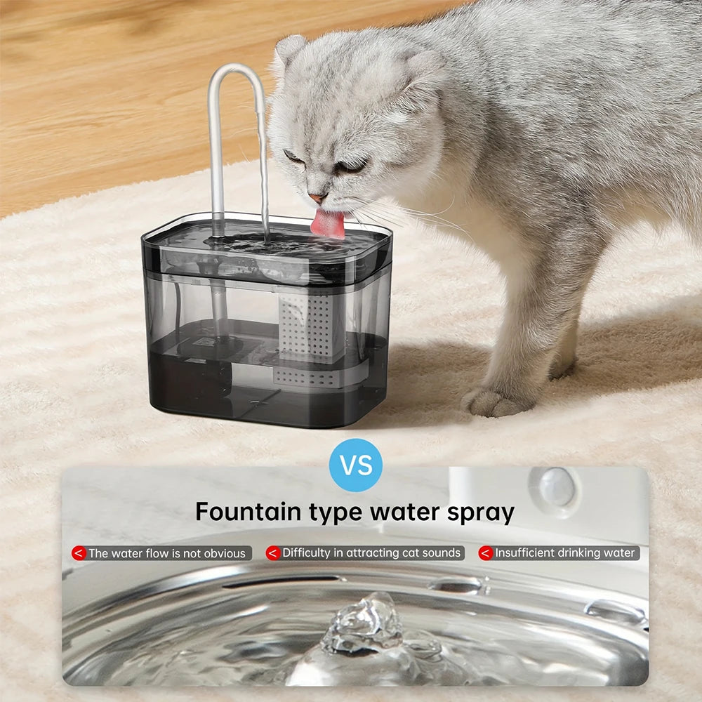 Fontaine Transparent pour Chat