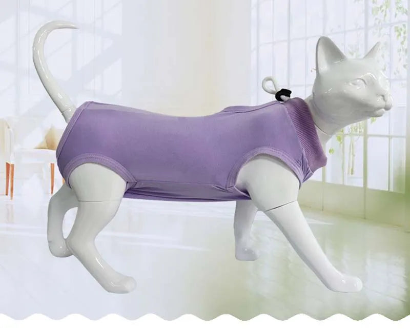 Combinaison Récupération Chat