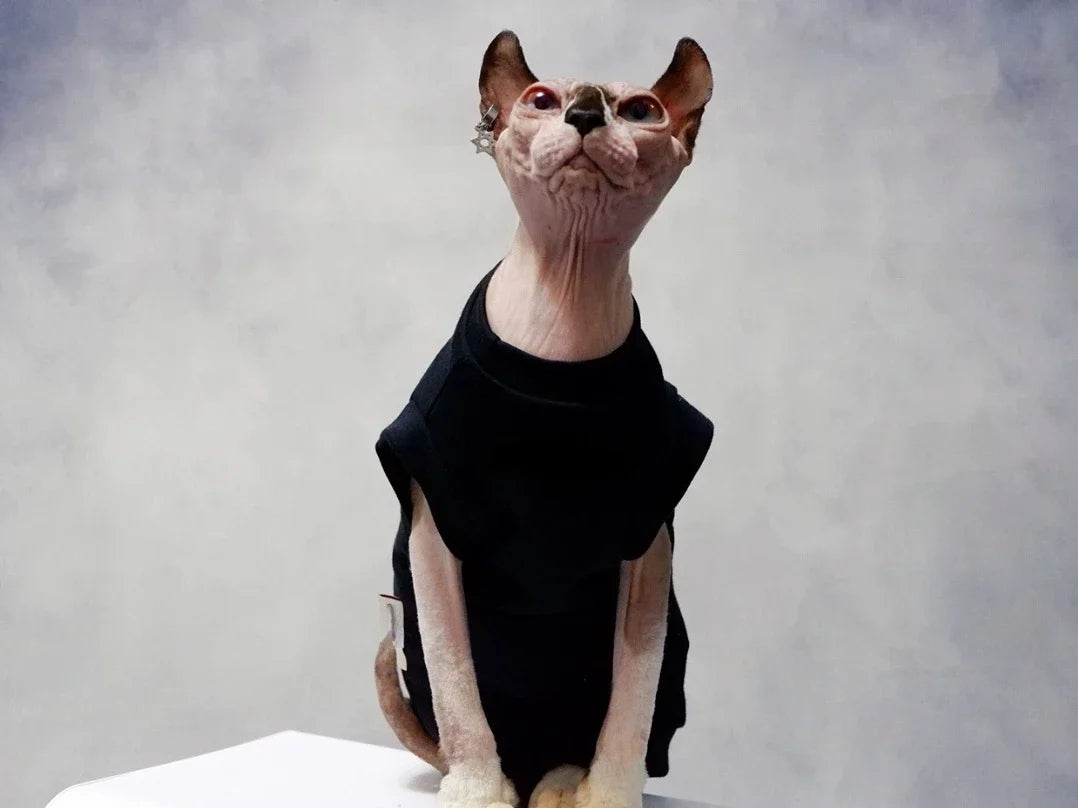 Gilet Chat Coton Doux