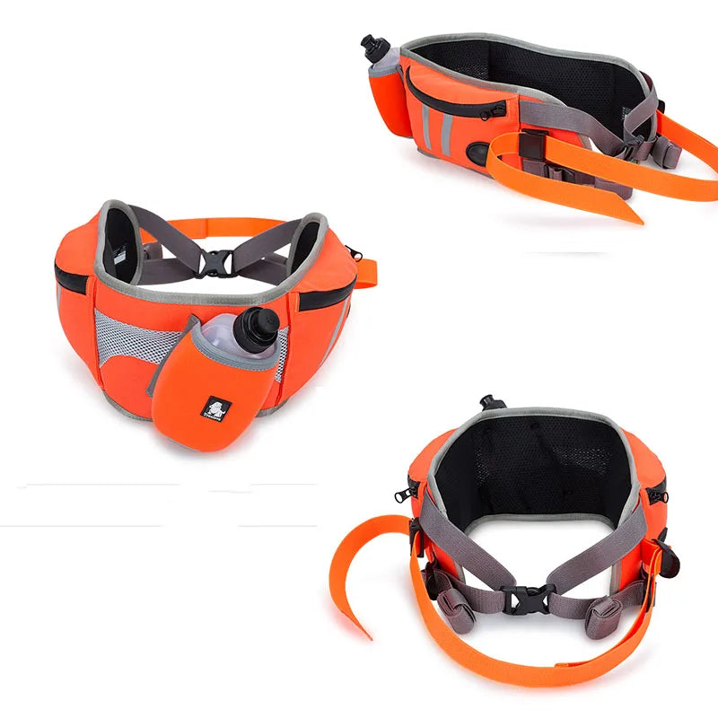 Sac Banane Promenade Chien