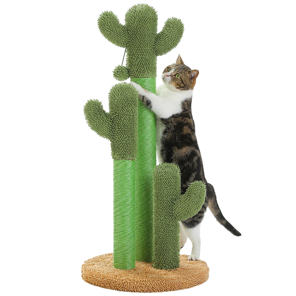 Griffoir Cactus Pour Chat