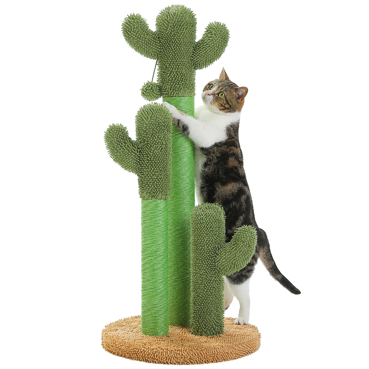 Griffoir Cactus Pour Chat