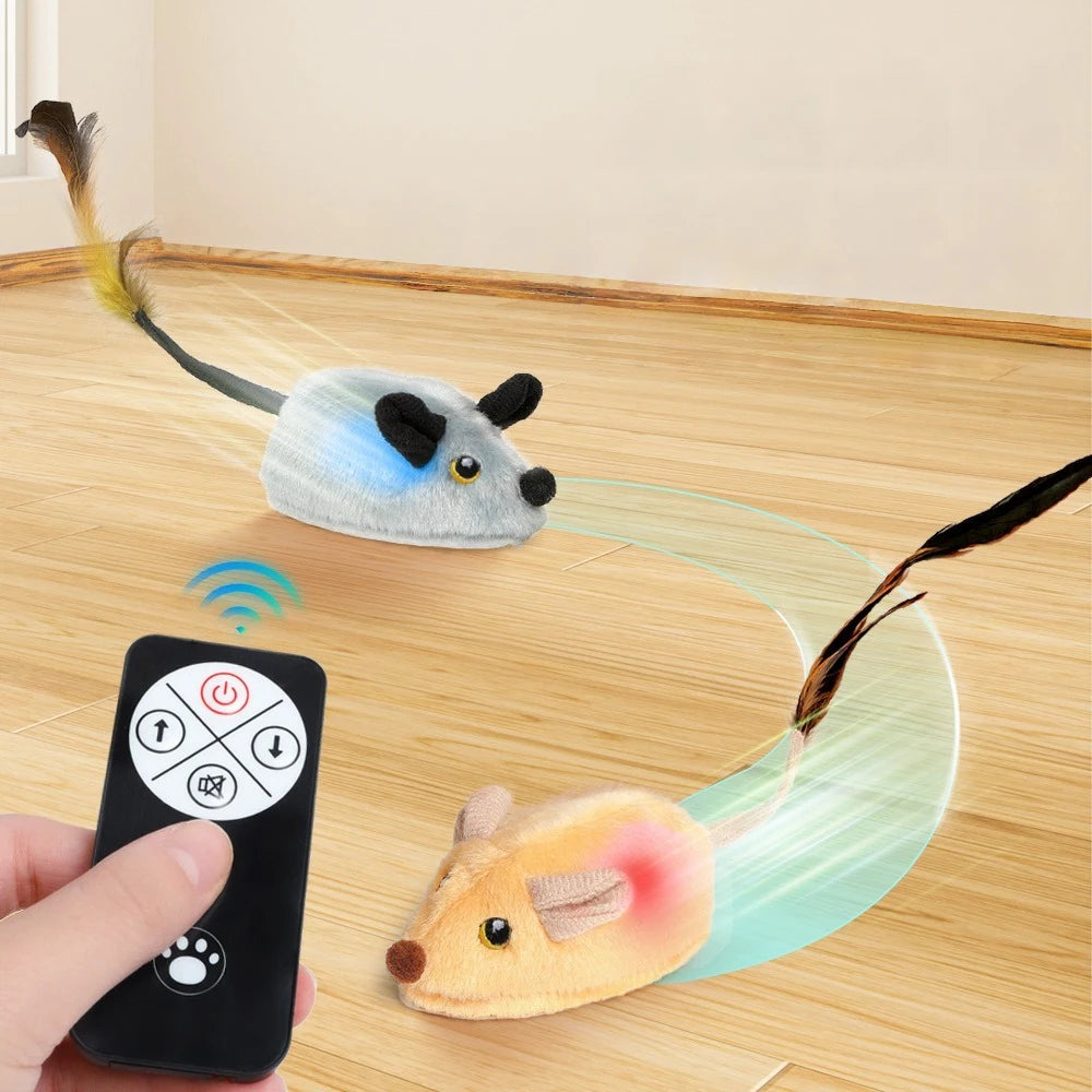 Souris Interactive Automatique
