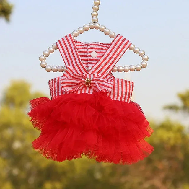 Robe Princesse Pour Animaux