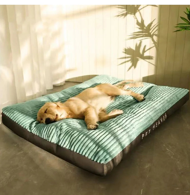 Grand Coussin Douillet Pour Chien