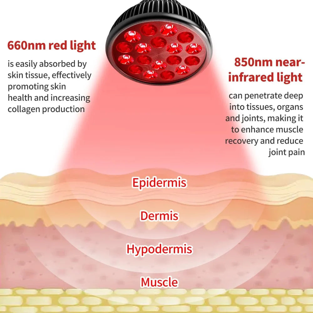 Ampoule Thérapie Rouge E27