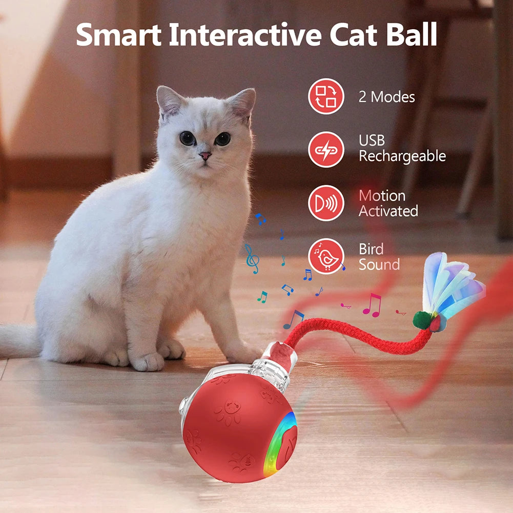 Balle Interactive Pour Chat