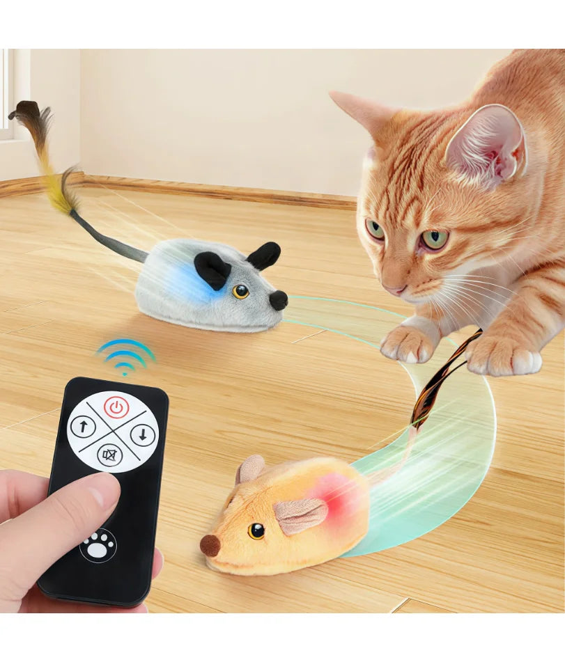 Souris Interactive Automatique