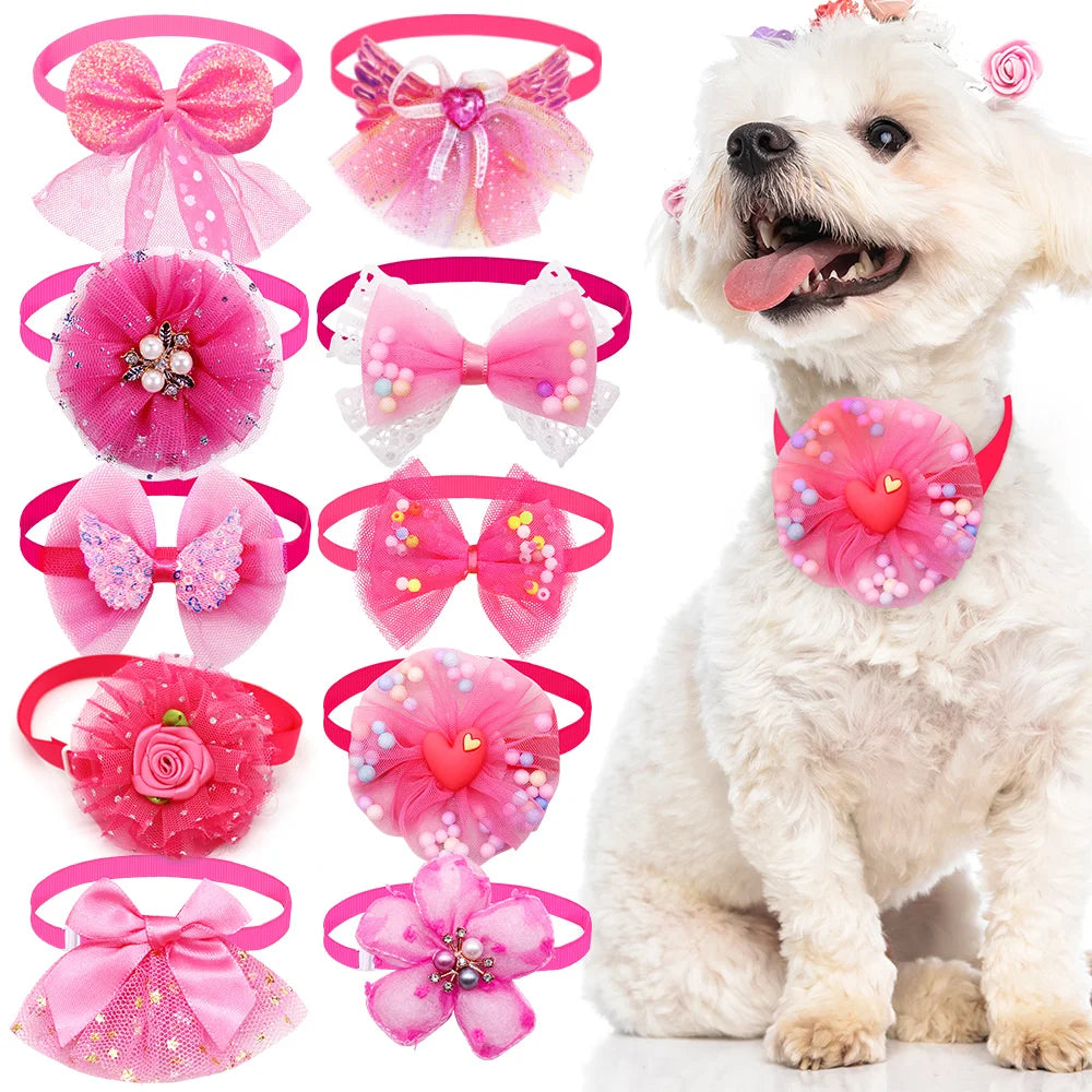 Nœuds Élégants Pour Animaux