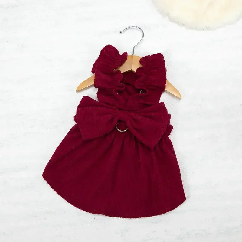 Tenue Princesse Pour Chat