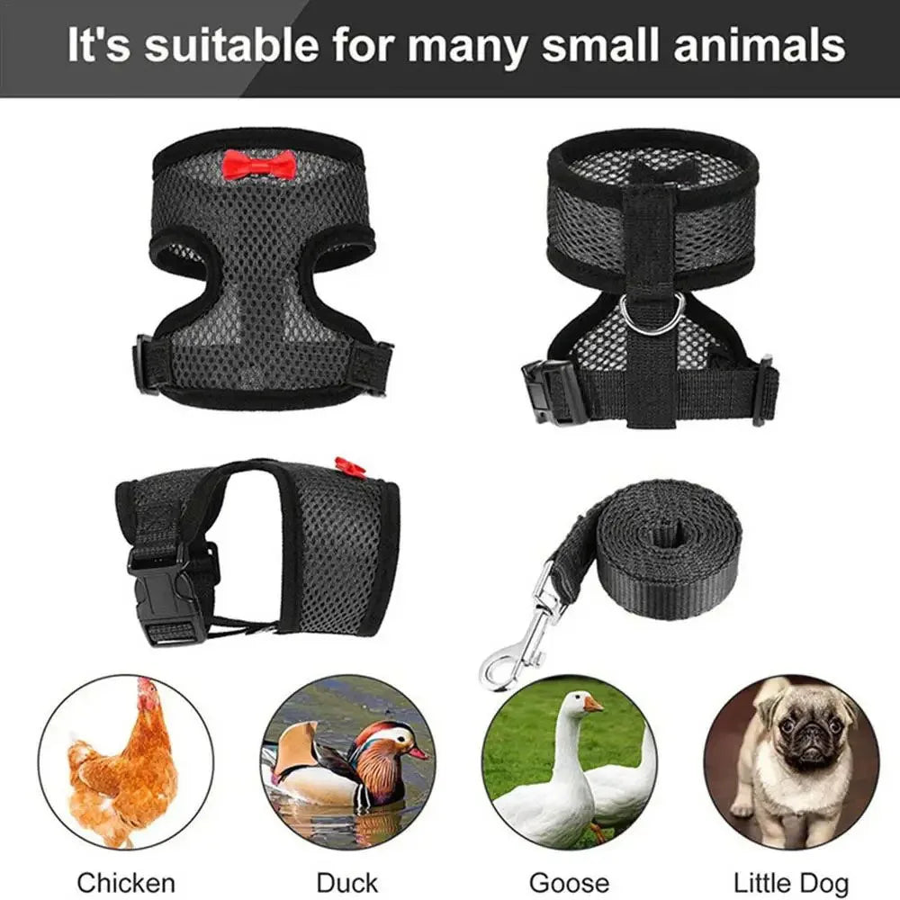 Harnais Confort Pour Petits Animaux