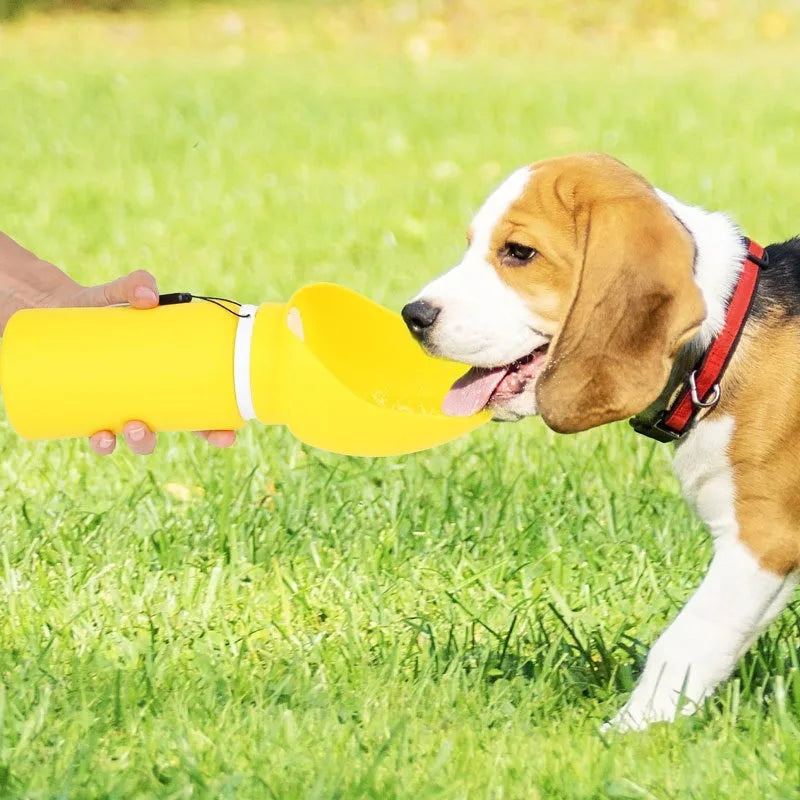 Gourde Voyage Pour Animaux